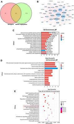 Molecular Mechanism of Naringenin Against High-Glucose-Induced Vascular Smooth Muscle Cells Proliferation and Migration Based on Network Pharmacology and Transcriptomic Analyses